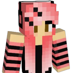 bubblegum1000000 Minecraft avatar bust