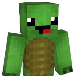 buhs19811 Minecraft avatar bust