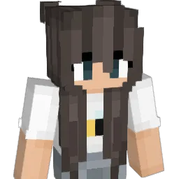 buu__41's Minecraft skin