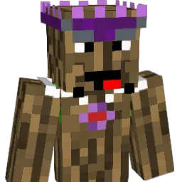 bwhatsonn's Minecraft skin