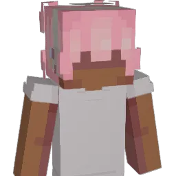 bxrgan Minecraft avatar bust