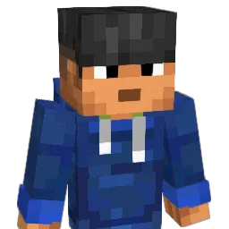 by__Linus__de's Minecraft skin