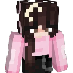 c00kieTimes Minecraft avatar bust