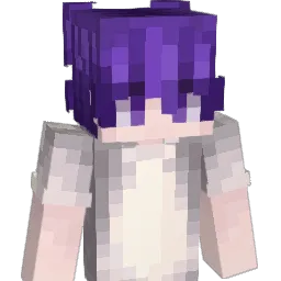 Netterra's skin