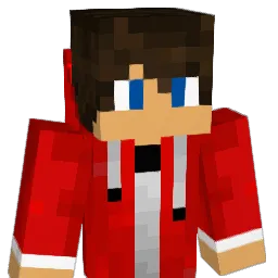 c0nn0r20 Minecraft avatar bust