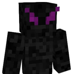 c0p6eR Minecraft avatar bust