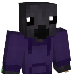 c0rvoid