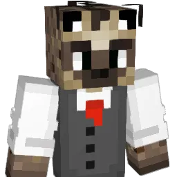 c0stcocat Minecraft avatar bust
