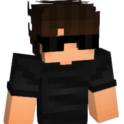 TypesOfPlays's skin