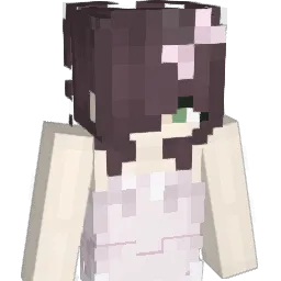 c2ss Minecraft avatar bust