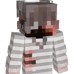 lkir's skin