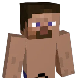 c4s7_ Minecraft avatar bust