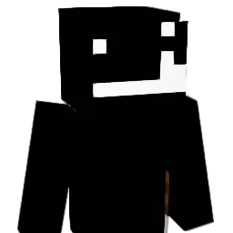 notliqm_'s skin
