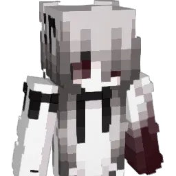 Paniiz's skin