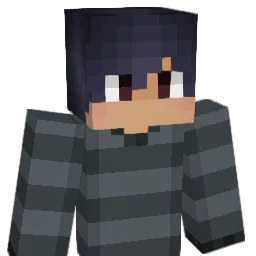 c8001221 Minecraft avatar bust