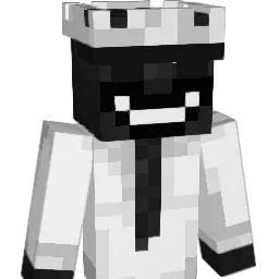 tjoakz's skin