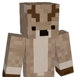 c_braiden Minecraft avatar bust