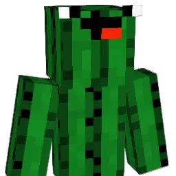cactusman420 Minecraft avatar bust