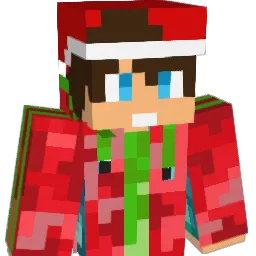 camD100 Minecraft avatar bust
