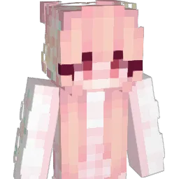cami_1117 Minecraft avatar bust