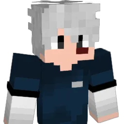 camisaGOSTOSO Minecraft avatar bust