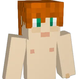 campinginger65's Minecraft skin