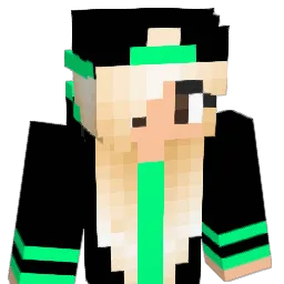 camse15 Minecraft avatar bust