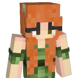 camxvhv Minecraft avatar bust
