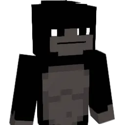 can25 Minecraft avatar bust