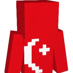 can638 Minecraft avatar bust