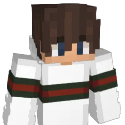 canal63 Minecraft avatar bust