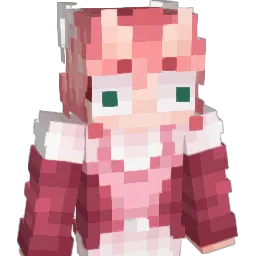 candont Minecraft avatar bust