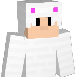 canon1009 Minecraft avatar bust