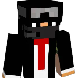 canswins Minecraft avatar bust