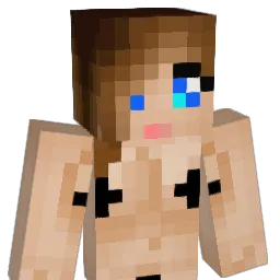 canttouchdis13 Minecraft avatar bust