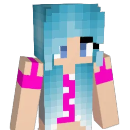 car2go Minecraft avatar bust