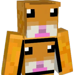 cargamer555 Minecraft avatar bust