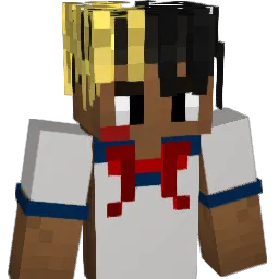 carl_0 Minecraft avatar bust
