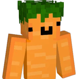 carrotssss Minecraft avatar bust