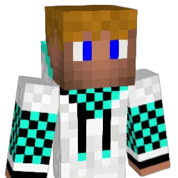 carwin99 Minecraft avatar bust
