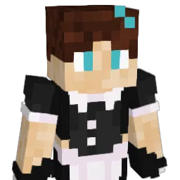 cas234 Minecraft avatar bust