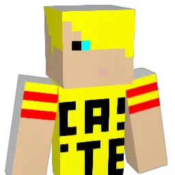 castel8 Minecraft avatar bust
