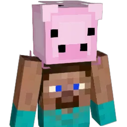 castle8531 Minecraft avatar bust