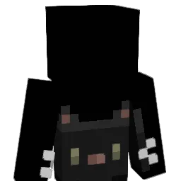 cat1337777