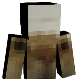 catfood60 Minecraft avatar bust