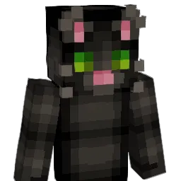 catpinn