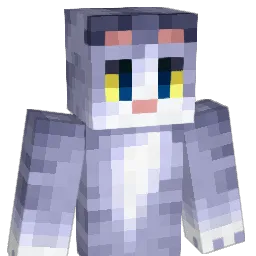 catsigns's Minecraft skin