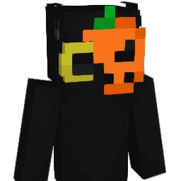 catsrcool12 Minecraft avatar bust
