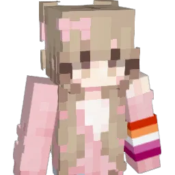 cchhtvt's Minecraft skin