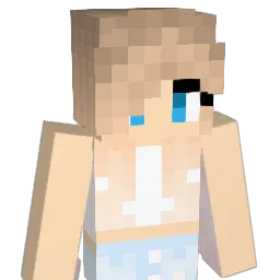 cclare1 Minecraft avatar bust